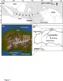 Location of Western Flores