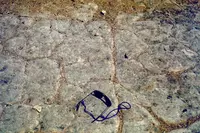 Paleo mudcracks in Coconino County, Arizona.