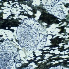 Integrating structural geology, petrology, tectonics and geochronology ...
