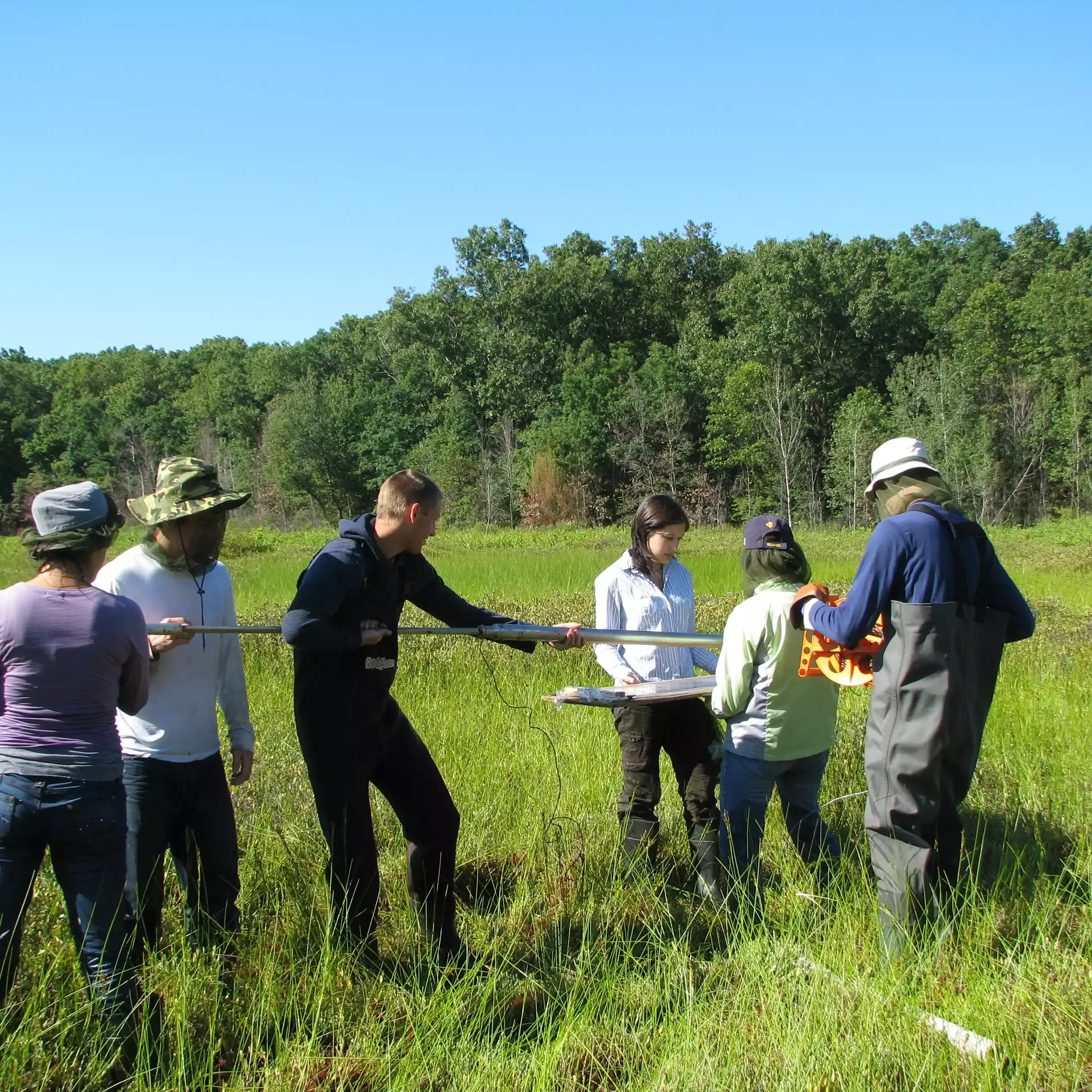 Peat Bogs of Allegan County: A Field Based Research Project Involving
