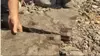 Cool Plants Video Screenshot