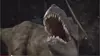 U Alberta Paleo Video Screenshot