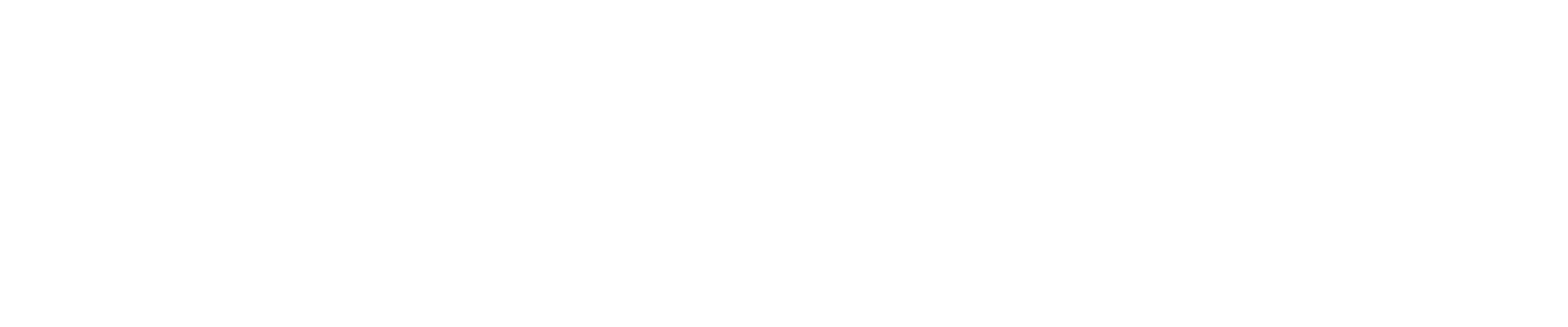 PROGRESS Logo White