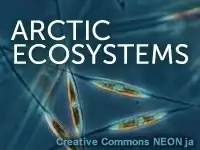 Arctic Ecosystems