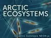 Arctic Ecosystems