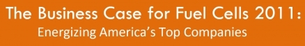 Business Call for Fuel Cells 2011