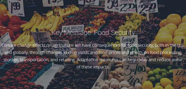Key Message: Food Security