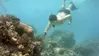 scuba diver