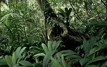 Africover Source: FAO