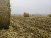 Bales of corn stover, Nebraska. Source: USDA/Wally Wilhelm. 