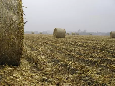 Bales of corn stover, Nebraska. Source: USDA/Wally Wilhelm. 