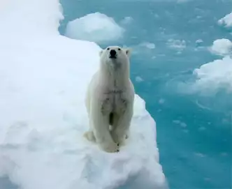 Figure 3 Climate Change