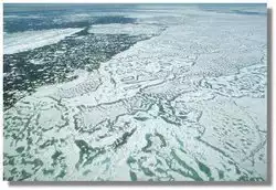 Sea Ice  Source NSIDC