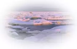 Sea Ice  Source NSIDC