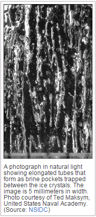 Sea Ice  Source NSIDC