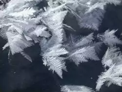 Sea Ice  Source NSIDC