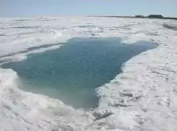 Sea Ice  Source NSIDC