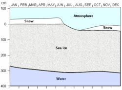 Sea Ice  Source NSIDC