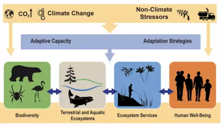 Figure 7.1: Climate Change, Ecosystems, and Ecosystem Services