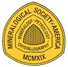 msa_logo_yellow_ammin.jpg.jpg