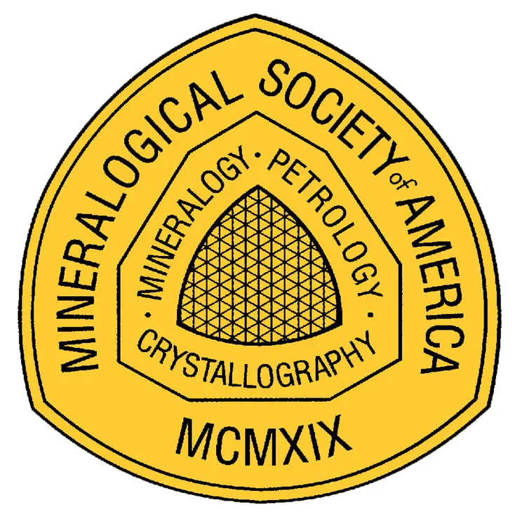 msa_logo_yellow_ammin.jpg.jpg