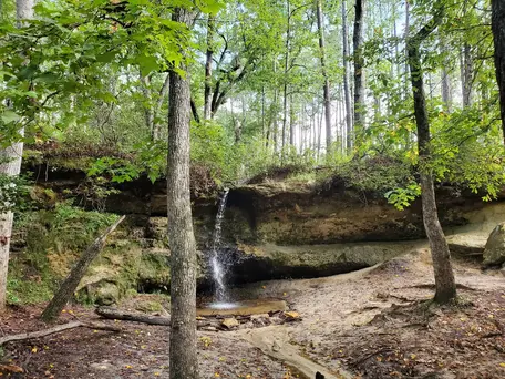 Image of sedimentary rock formation with waterfall surrounded by trees and vegetation.webp