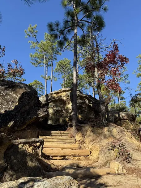 Image of sandstone rock formation, with a set of wooden plank steps in the foreground leading up to the outcrop, and surrounded by pine trees.