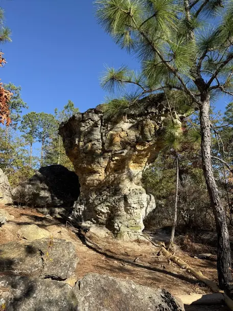 Image displays the Little Peachtree Rock sedimentary formation, appearing as a tall rock formation with sedimentary layers on a sandy slope surrounded by trees.