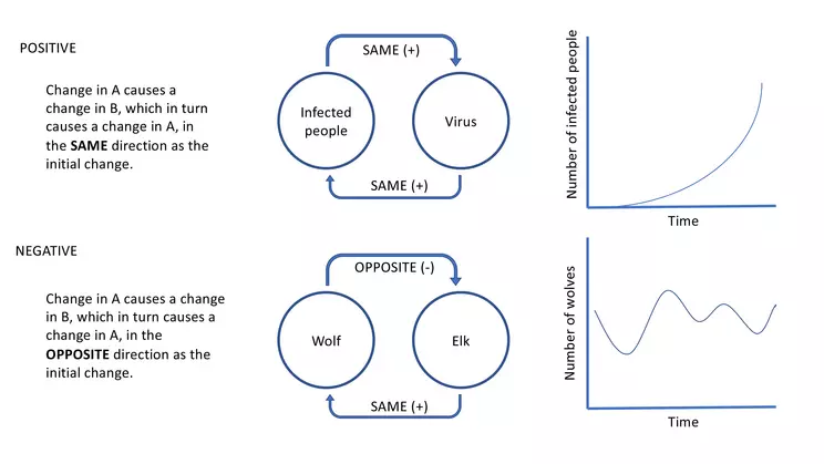 Diagram of FL structure and behavior