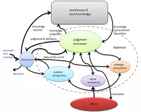 Mobus sapience flowchart