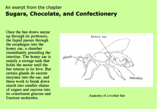 Excerpt from On Food and Cooking book