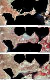 Aral_Sea_Composite
