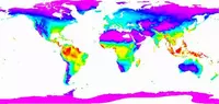 a world npp file image