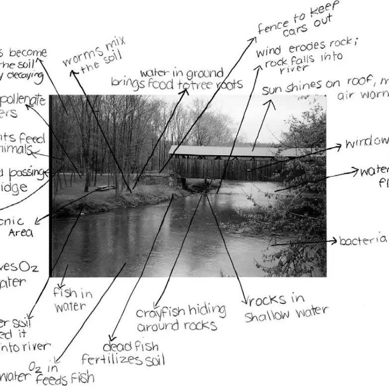Lab 2: Drawing Connections