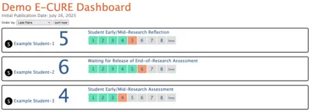 Screenshow showing E-CURE student progress
