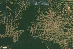 amazon_deforestation_2009