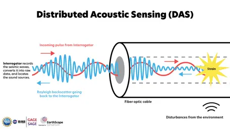 A digital illustration of distributed acoustic sensing depicts a zoomed-in view of a fiber optic cable with light waves moving through it. One wave was emitted by an instrument called an interrogator and travels into the cable. The figure shows disturbances from the environment, such as vibrations, creating an area of deformation or strain in the cable. At the point of strain, a return light wave is reflected back to the interrogator as Rayleigh backscatter.