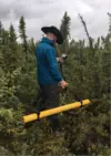 A surveyor carries electromagnetic equipment that looks like a long yellow tube over shrubs as a part of an electromagnetic survey. 
