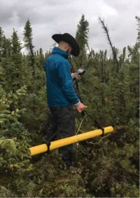 A surveyor carries electromagnetic equipment that looks like a long yellow tube over shrubs as a part of an electromagnetic survey. 