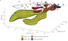 Digital rendering shows a 3D magma system extending to approximately 40km depth from Earth's surface. Deeper portions of the system are composed of basaltic melt, while shallower portions are composed of rhyolitic or basaltic/rhyolitic melt, or are hydrothermal.