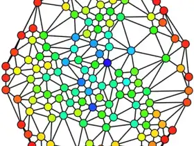 Network Image