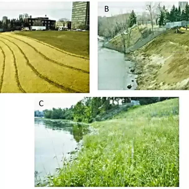 Soil Bio-engineering