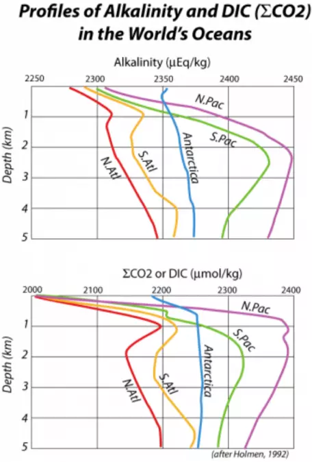 alkalinity with depth