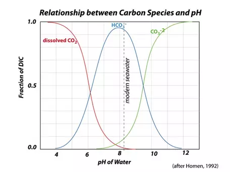 C chemical speciation