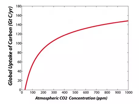 CO2 fertilization