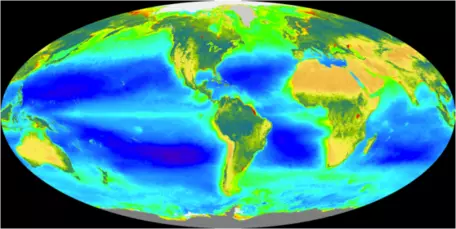 global chlorophyll