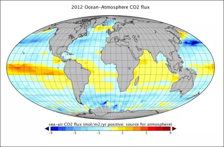 global CO2 exchange