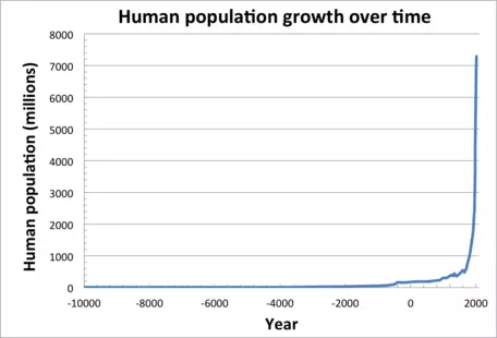 Human population growth