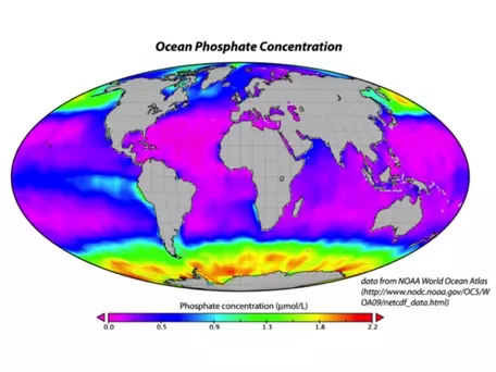 oceanic phosphate