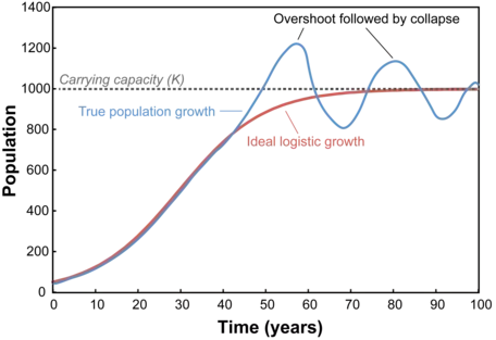 Population overshoot